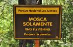 Placa de aviso de que apenas a pescaria de mosca é permitida (é preciso uma licença!) no Parque Nacional Los Alerces, ao norte de Trevelin, na patagônia argentina